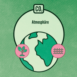Mini Lectures für die Lindauer Nobelpreisträgertagung. Animierte Erklärfilme für komplizierte Themen.