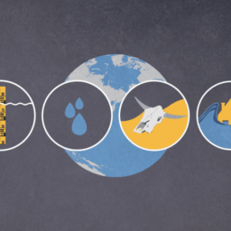 Mini Lectures für die Lindauer Nobelpreisträgertagung. Animierte Erklärfilme für komplizierte Themen.