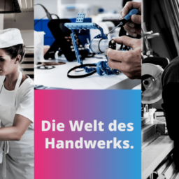 Social Media Animationen für Zukunft Handwerk.