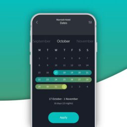 UI UX Animationen der Weltenwandler (freies Projekt): eine Hotel App