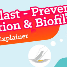 Die animierten Coloplast Videos sind healthcare Explainer (Erklärfilme) und Produktfilme. Das Titelbild