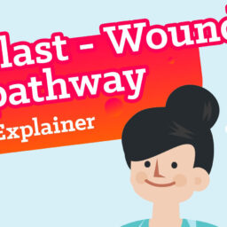 Die animierten Coloplast Videos sind healthcare Explainer (Erklärfilme) und Produktfilme. Das Titelbild