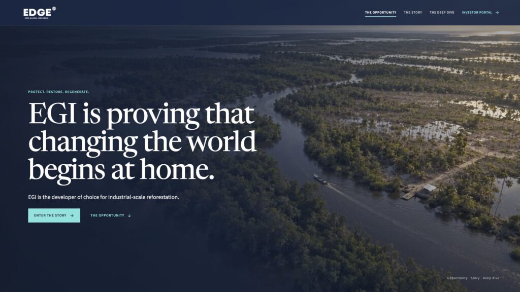 Startansicht der EGI Investor Website mit Luftbild einer Küstenlandschaft, Navy und großer Typografie.